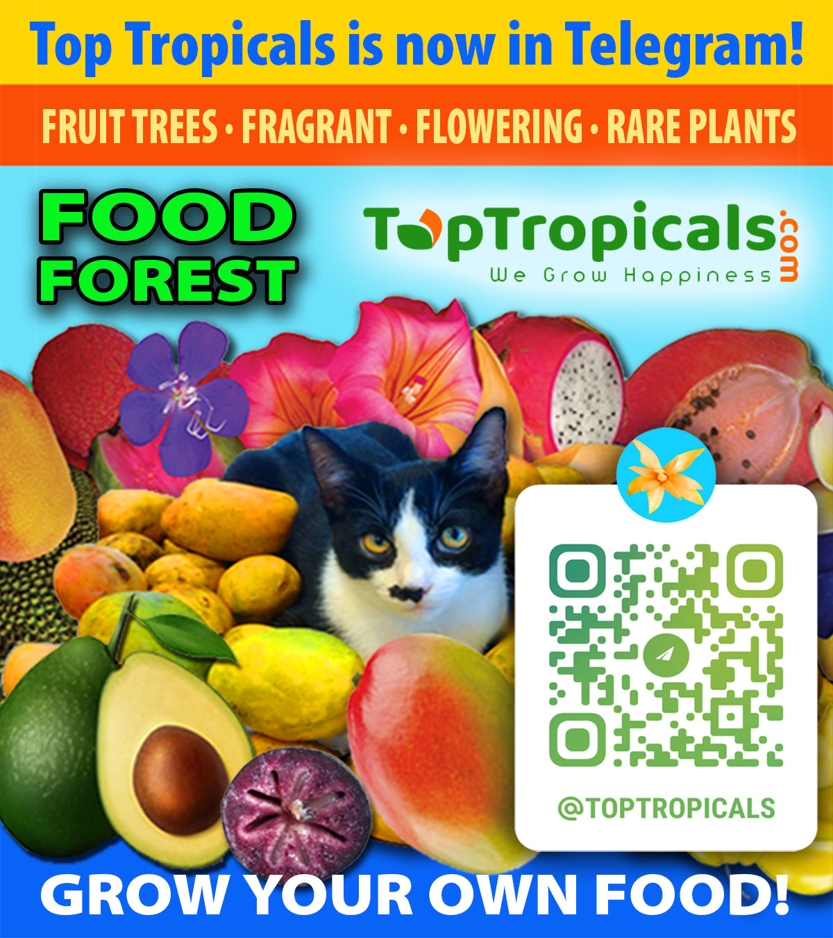 Top Tropicals Customer Service Desk