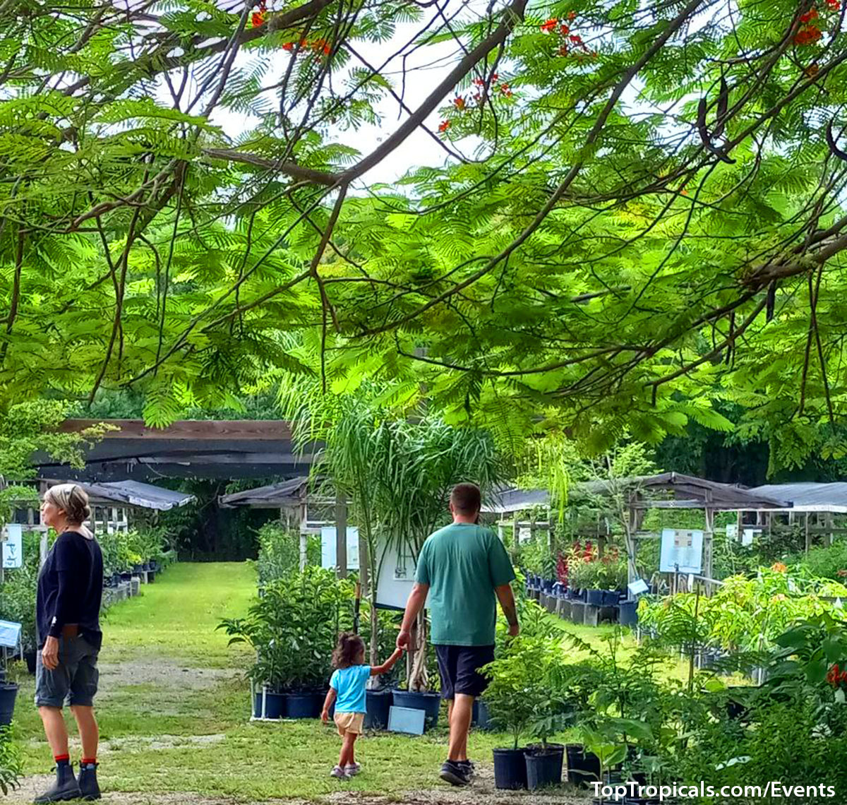 Top Tropicals Summer Plant Market Extravaganza