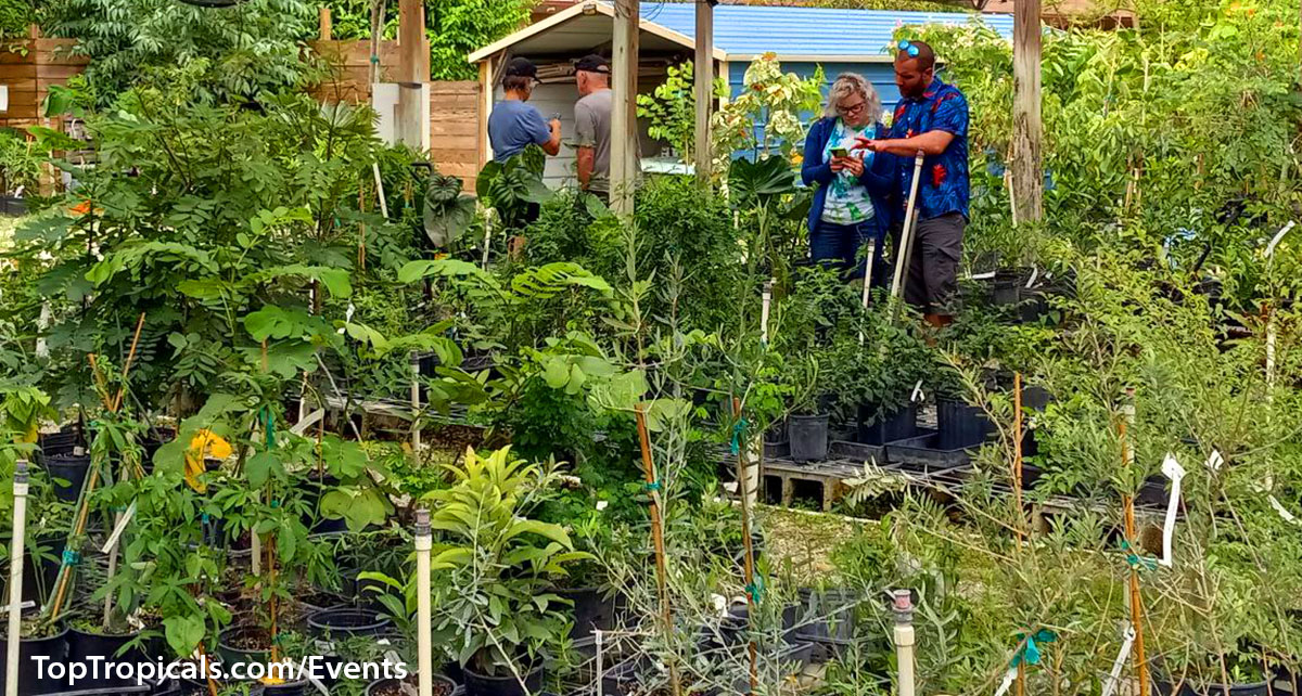 Top Tropicals Summer Plant Market Extravaganza