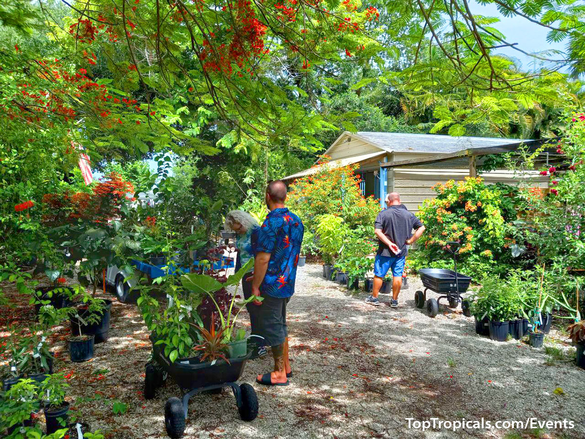 Top Tropicals Summer Plant Market Extravaganza