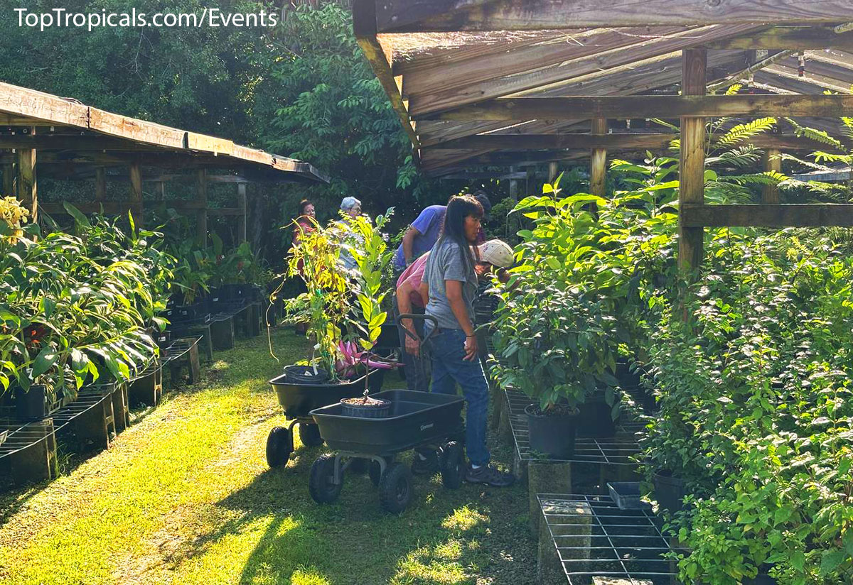 Top Tropicals Garden Events