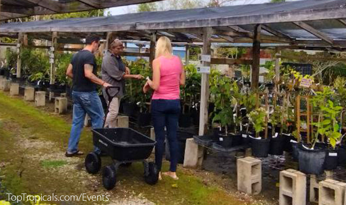 Top Tropicals Plant Festival 