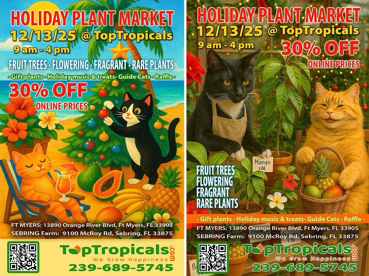 Summer Plant Market Invitation Top Tropicals Summer Plant Market Invitation
