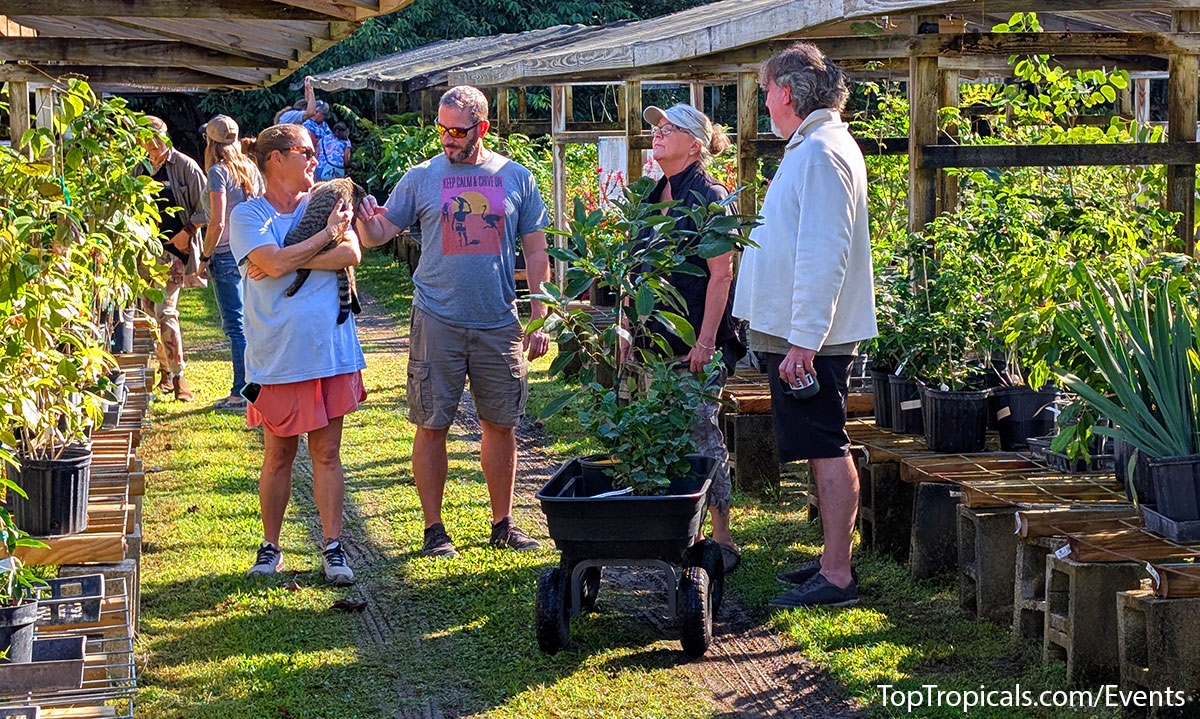 Holiday Plant Market on December  13, 2025