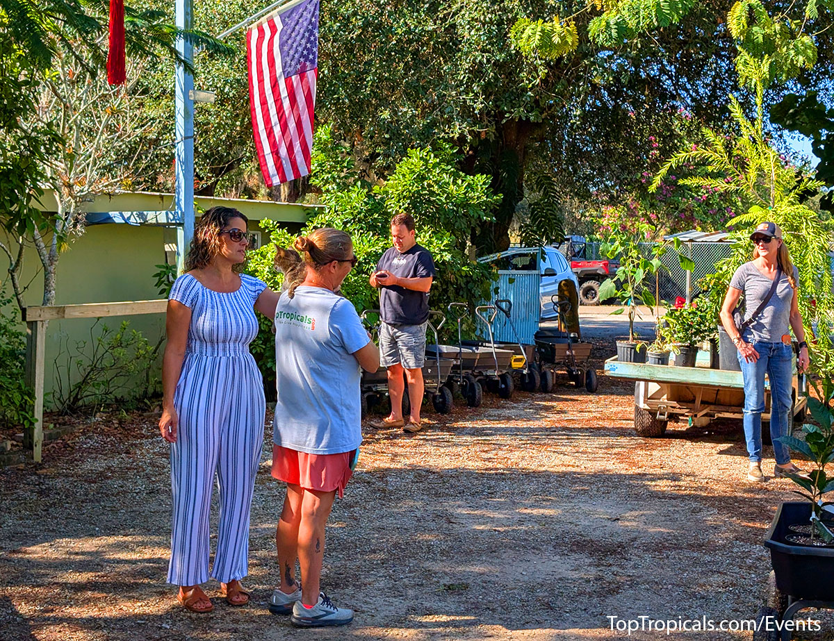 Holiday Plant Market on December  13, 2025