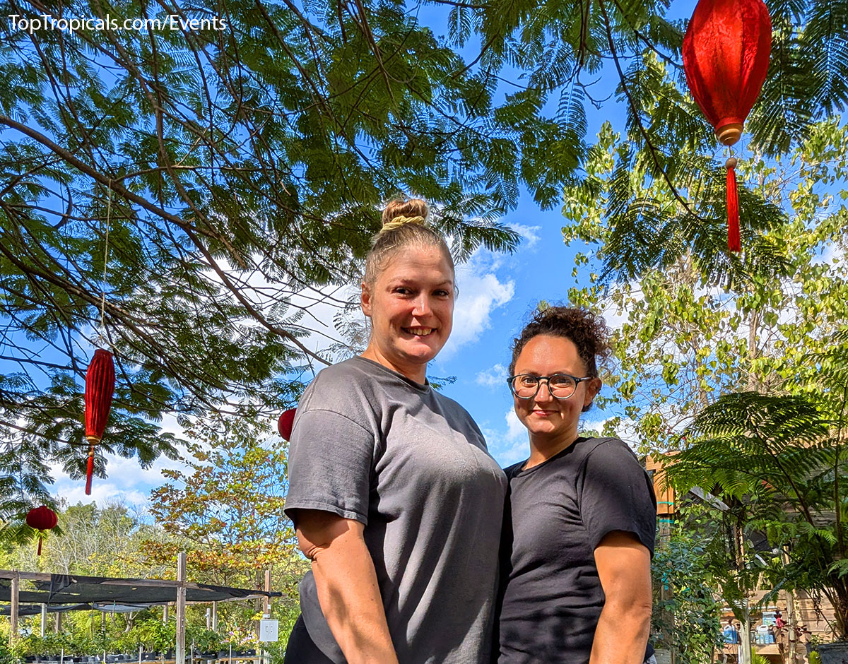 Holiday Plant Market on December  13, 2025