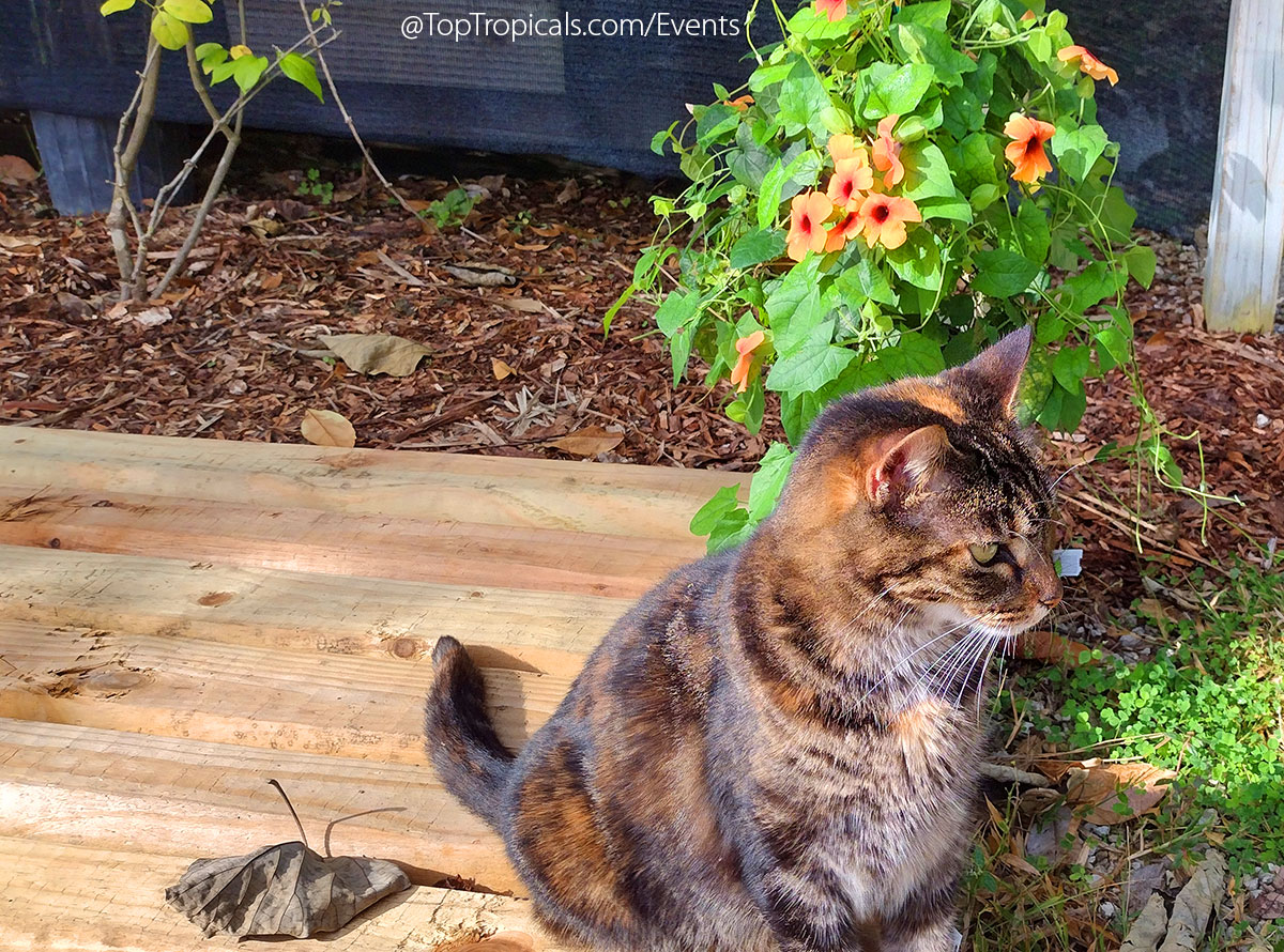 Holiday Plant Market on December 13, 2025