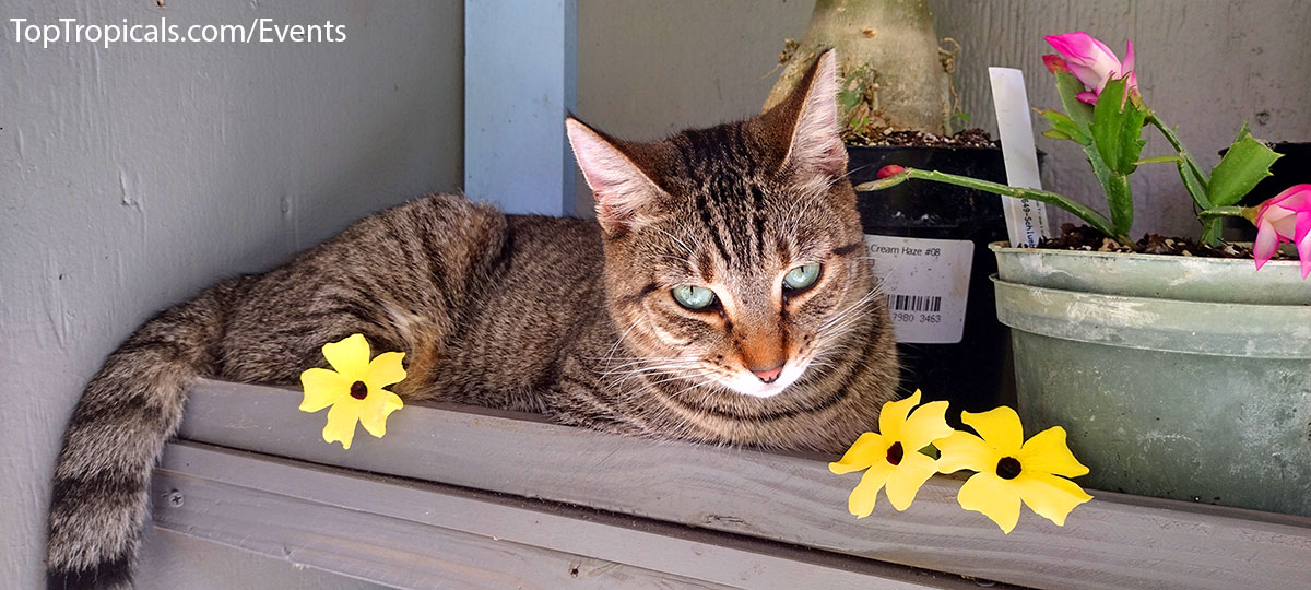 Holiday Plant Market on December 13, 2025