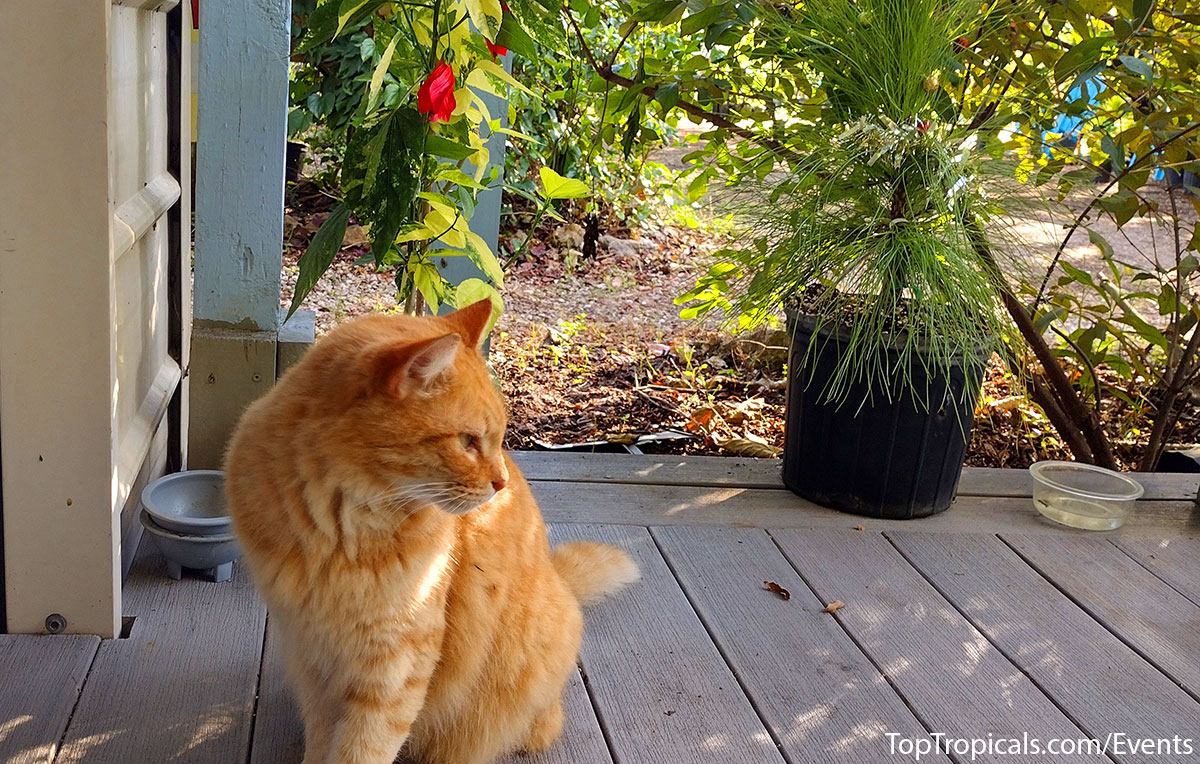 Holiday Plant Market on December 13, 2025