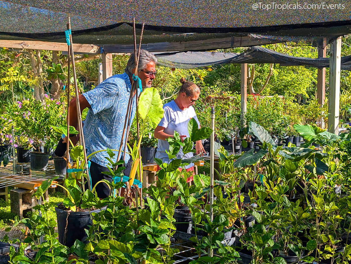 Holiday Plant Market on December 13, 2025