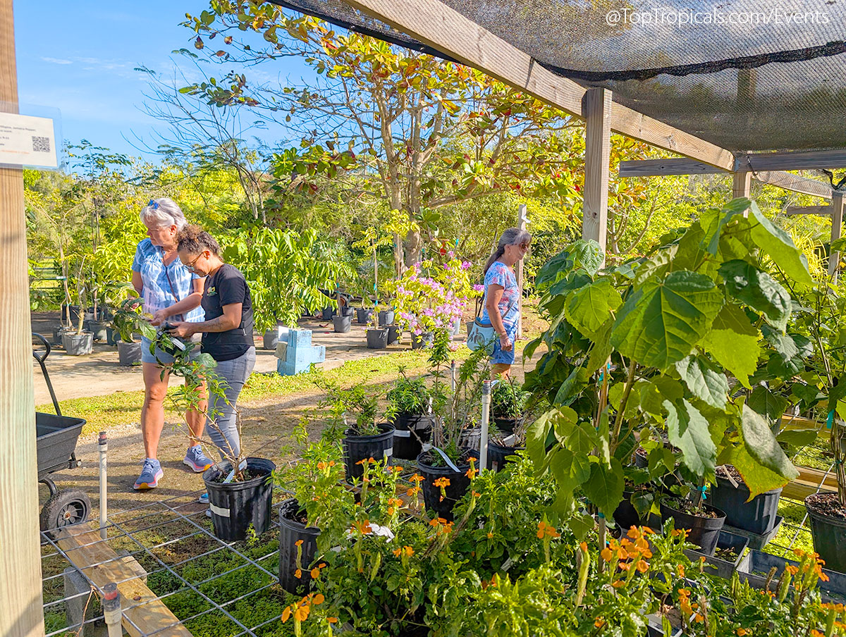 Holiday Plant Market on December 13, 2025