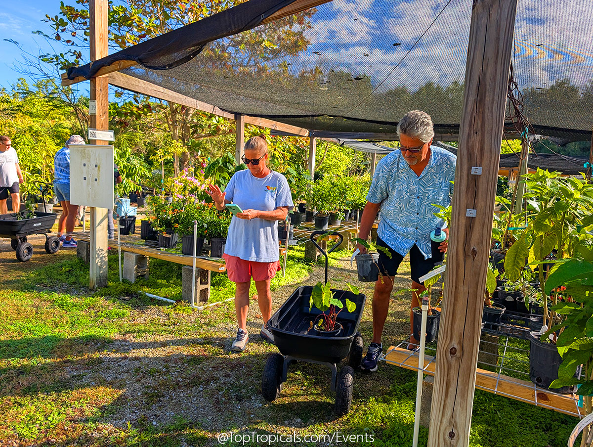 Holiday Plant Market on December 13, 2025