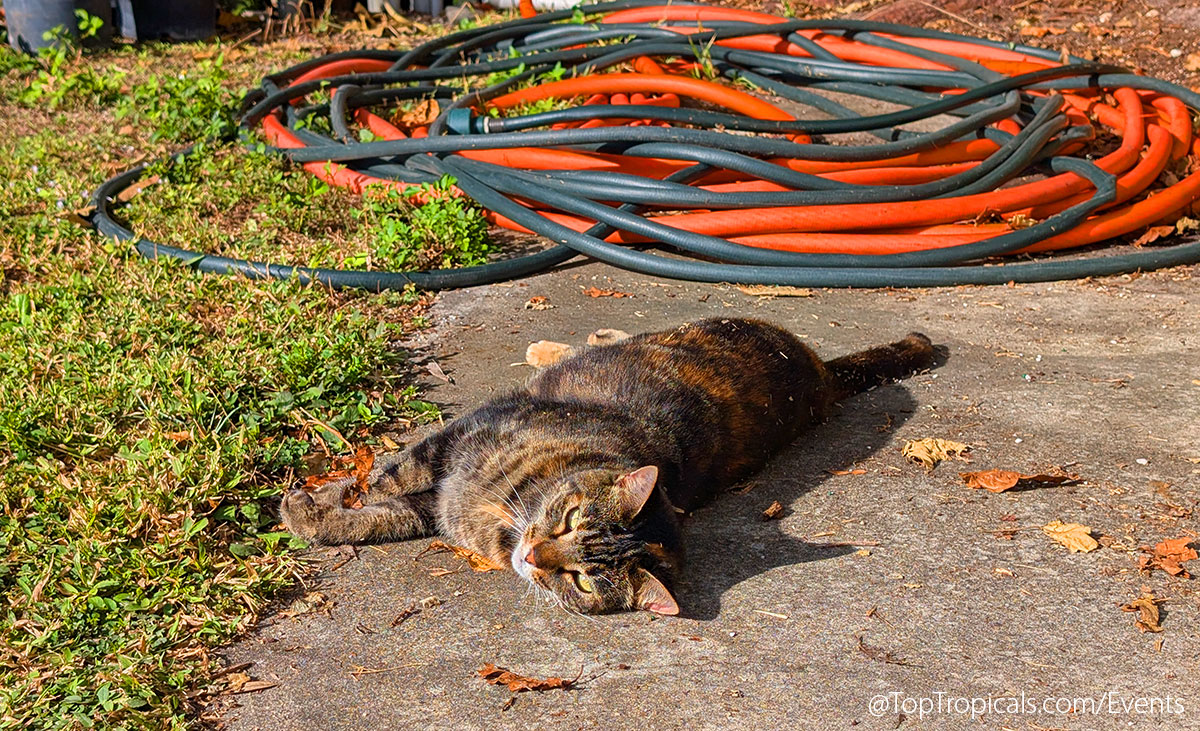 Holiday Plant Market on December 13, 2025