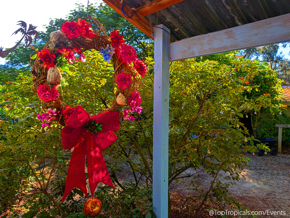 Holiday Plant Market on December 13, 2025