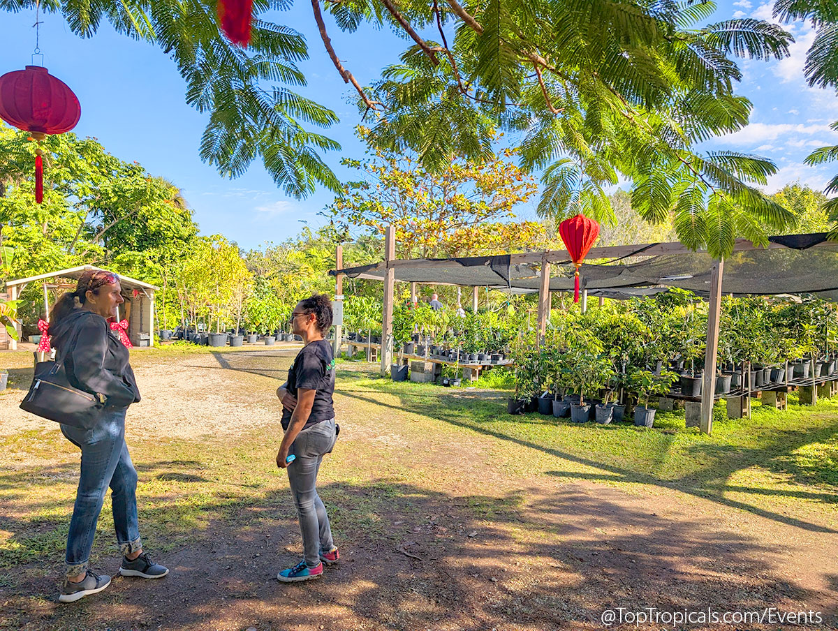 Holiday Plant Market on December 13, 2025